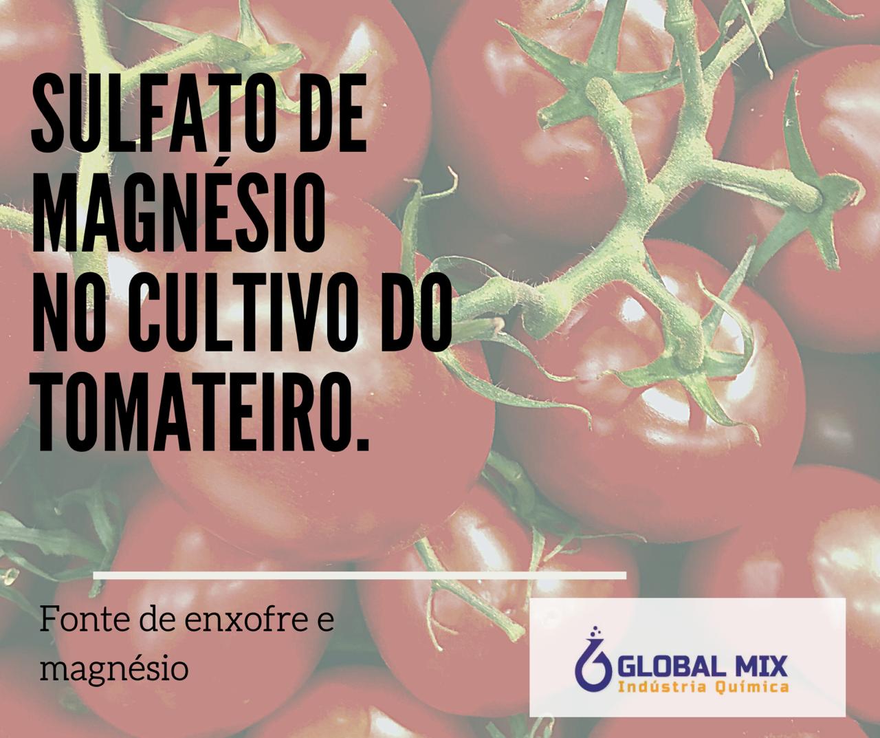 Sulfato de Magnésio no Cultivo do Tomateiro