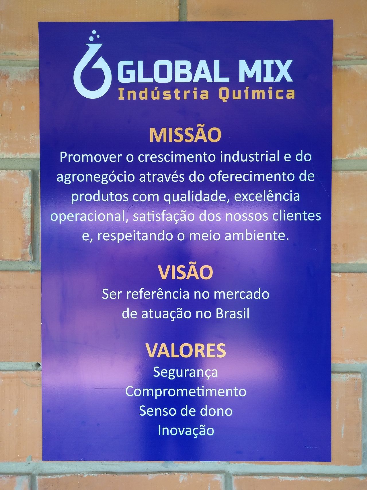 Missão, Visão e Valores da Global Mix